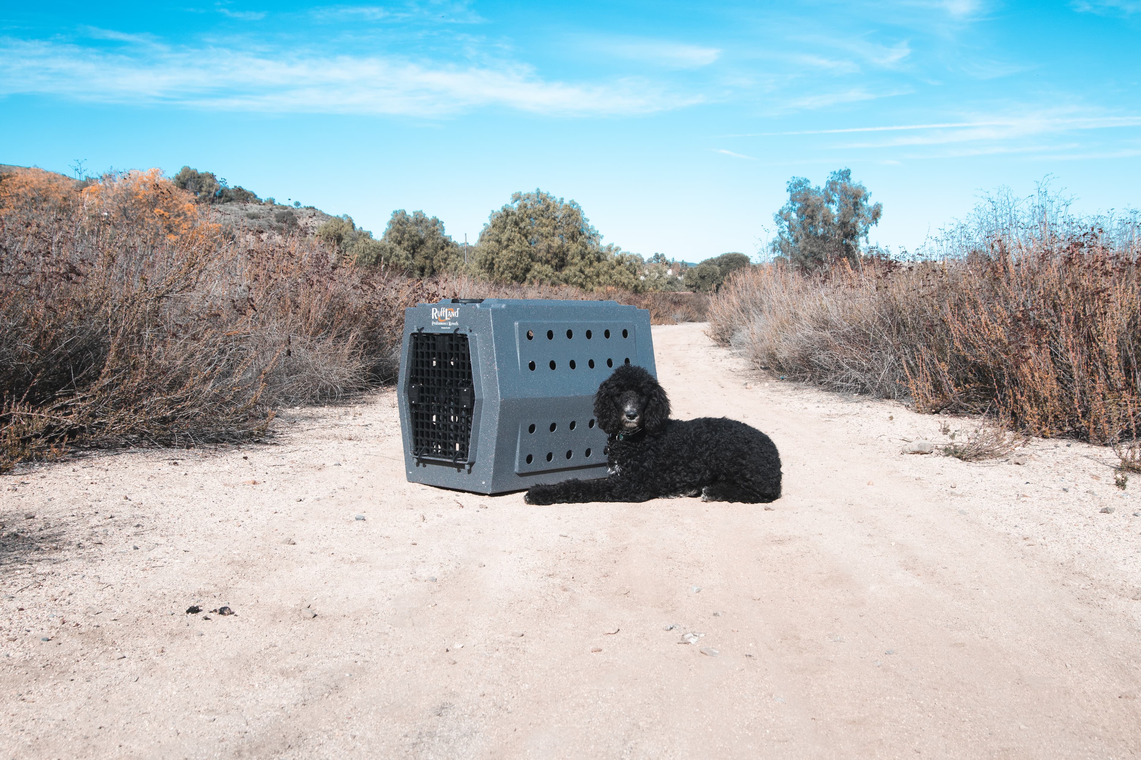 Pickup & Drop Off with Eduardo Beltran serving Murrieta, California