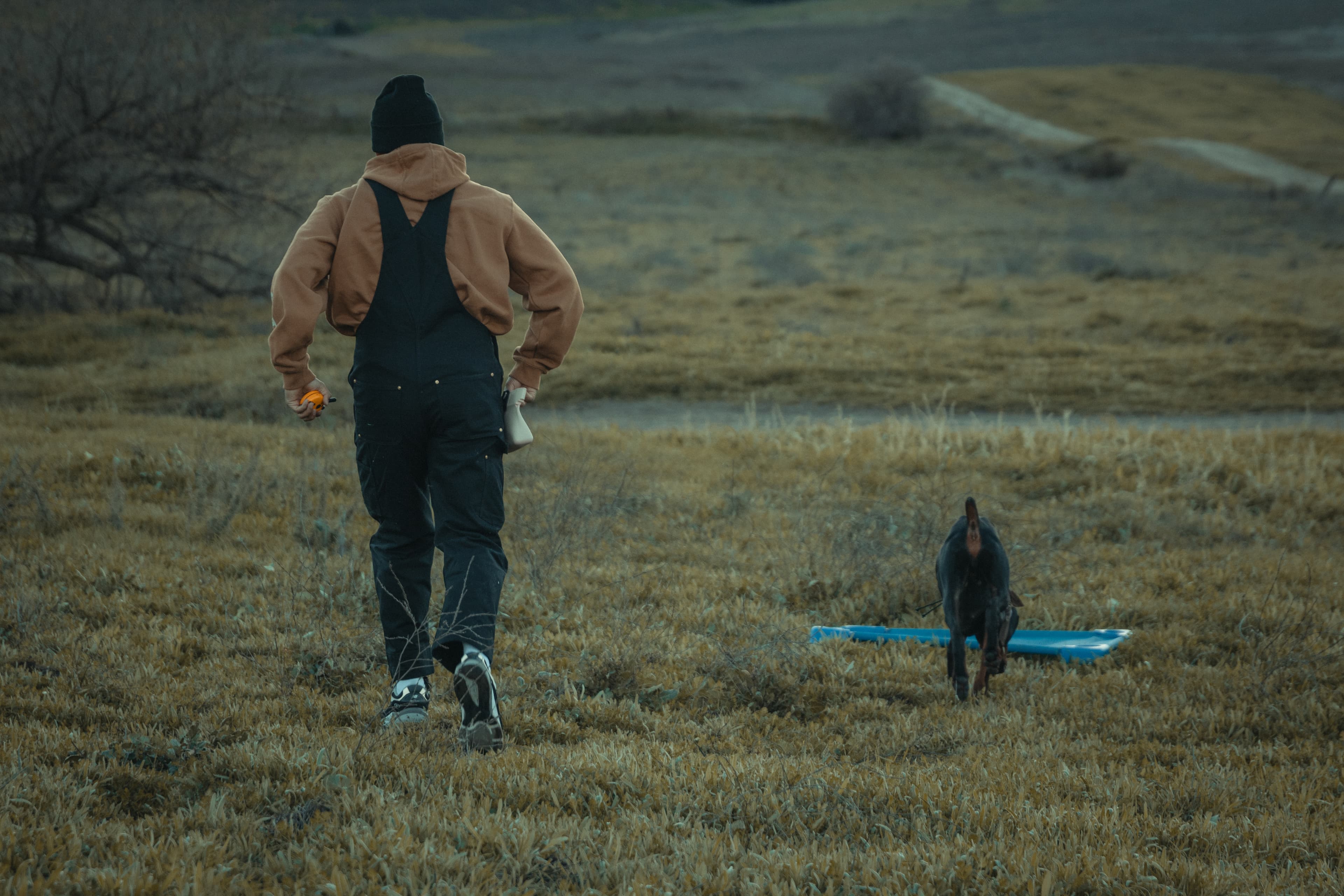 Board and train session with Eduardo Beltran in Murrieta