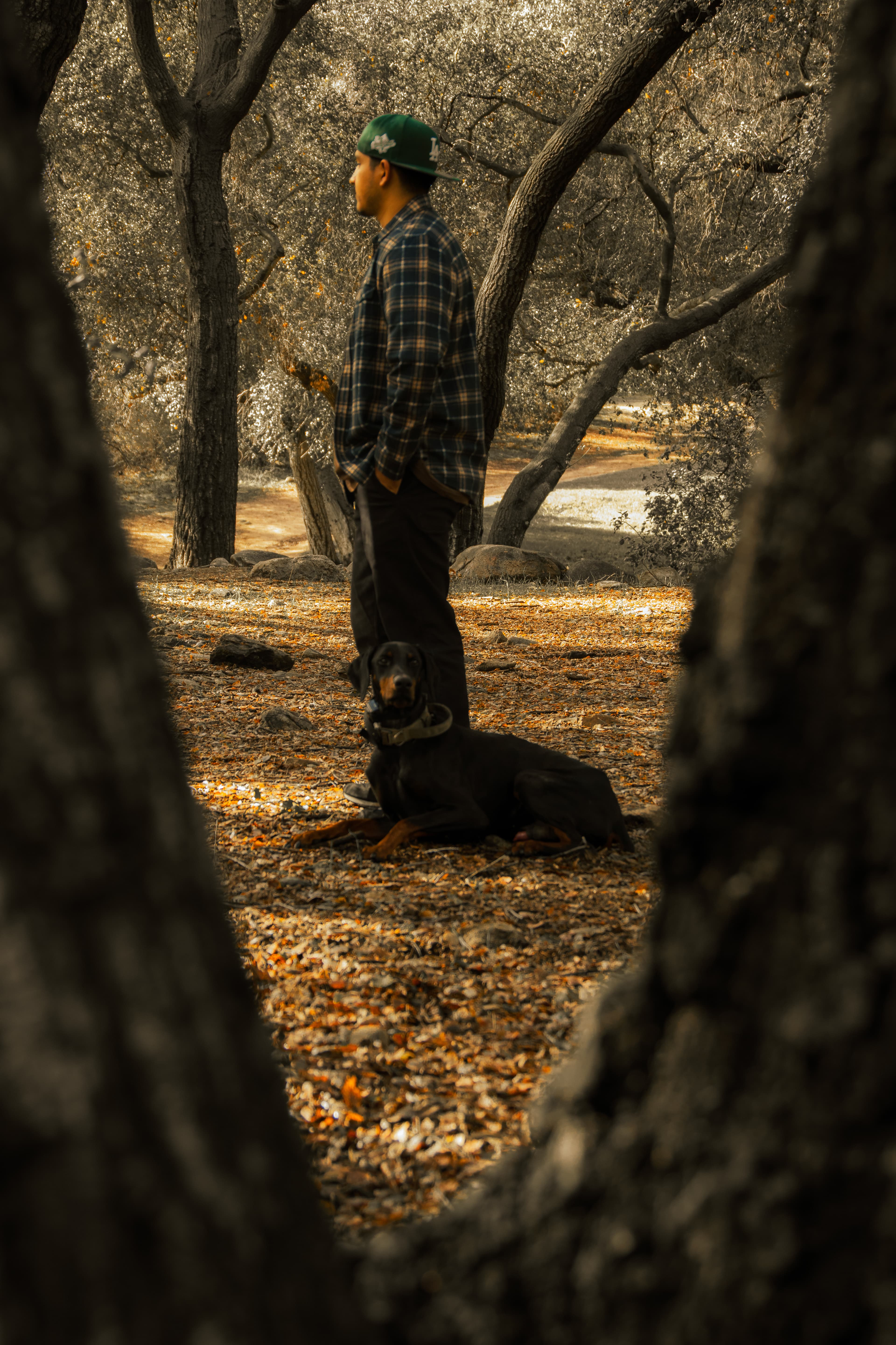 Real-world dog training near Temecula